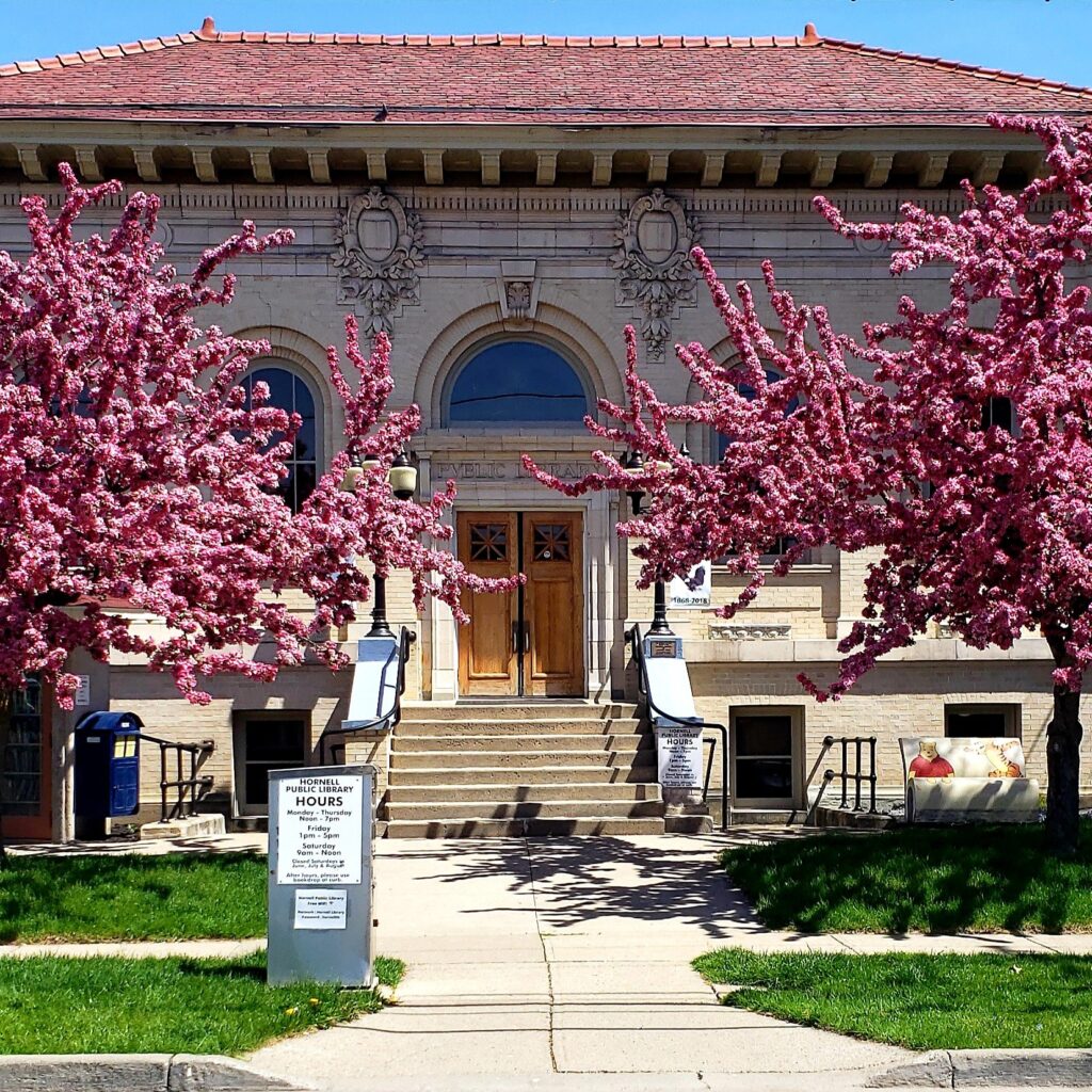 Hornell Public Library