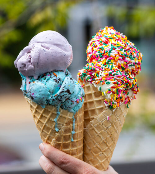 Ice Cream Social