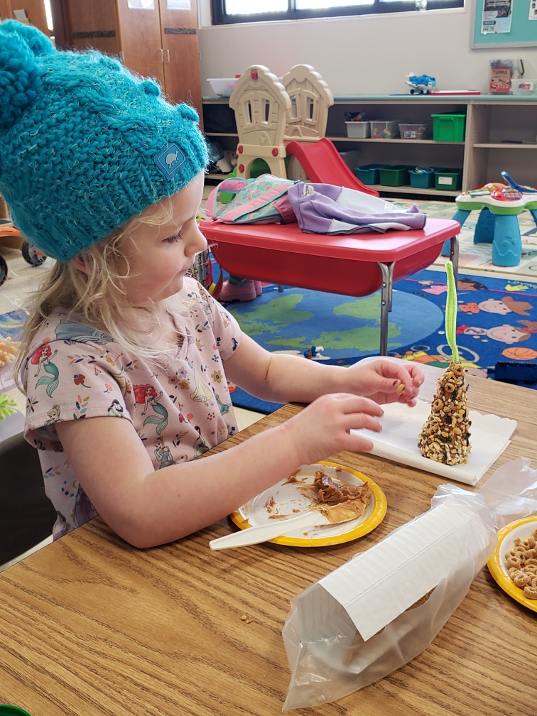 Fine Motor Activity