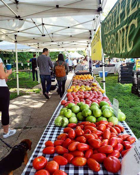 Pop Up @ Corning Farmers Market